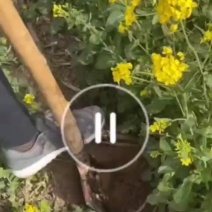 荷兰网围栏网铁丝网养鸡网栅栏养殖网防护网钢丝网隔离栏硬塑