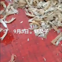 虾爬子