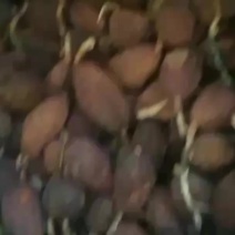云南怒江一手本地干货草果