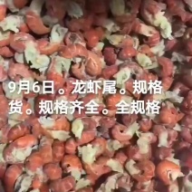 龙虾尾
