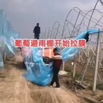 天津钢管生产厂家，养殖棚，种植棚，联动棚及配件，厂家直发