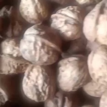 云南丽江永胜高山柴火烤核桃