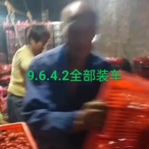 大量出货中