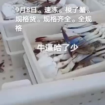 速冻梭子蟹