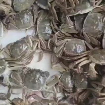 河蟹