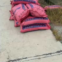 羊粪