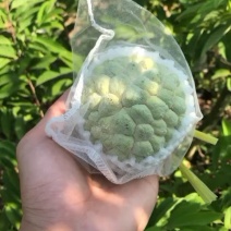 释迦林檎果