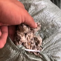棉渣，长年出售精品棉渣