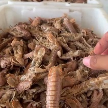 皮皮虾
