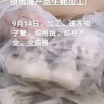 梭子蟹