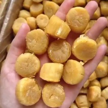 60头大连元贝批发瑶柱肉质好味香浓个头大