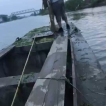 大闸蟹