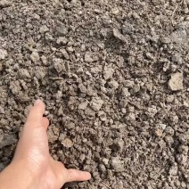 江苏省淮安淮阴区有机肥禽畜粪便鹌鹑粪水泥晾晒无杂质常年供应