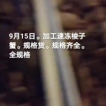 梭子蟹