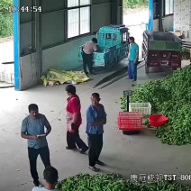 精品秋椒