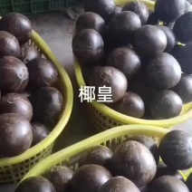 椰皇