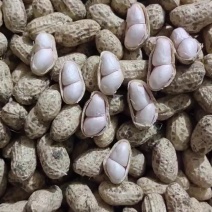 正宗罗汉果，小巧精致，口感好，都是人工手选精品过筛