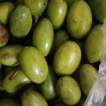 青果