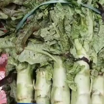 优质货源，欢迎订购