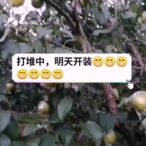 雪花梨