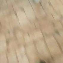 苹果大量上市印台红富士欢迎大家