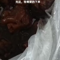 海蜇大角