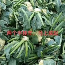 中国河北邯郸，丛台区南大堡蔬菜市场物流园