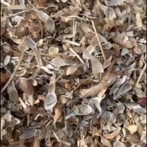 豆荚皮