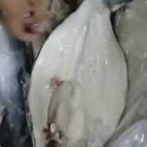 8/9/10/11条开背鱼29号到货，请提前下单