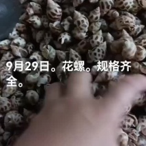 花螺