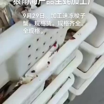 梭子蟹