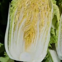 市场商超**精品黄心，泡菜加工厂等专用白菜