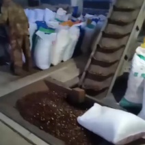 批发零售燕山板栗