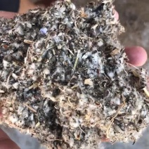 湖北棉渣