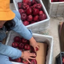 花牛
