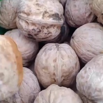 山西省汾阳汾州核桃纸皮核桃香玲核，晋龙核桃，各种品种都有