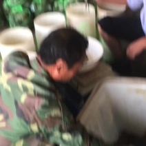 欢迎采购