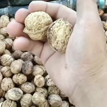 云南麻皮核桃，核桃仁