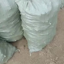 白芍鲜货