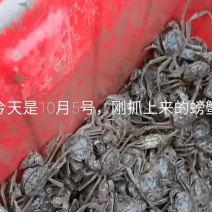 这里是河北唐山，想吃螃蟹快来吧。