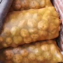 不留克