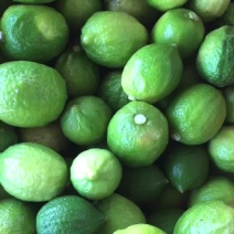 无籽香水柠檬