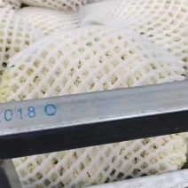 散花，甘蓝，大量有货