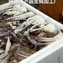 梭子蟹
