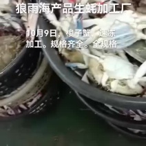 梭子蟹