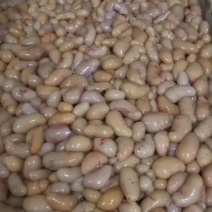 鸡腰子