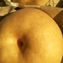 冰糖红梨