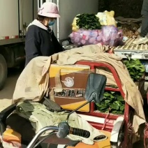 精品菠菜装车