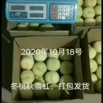 冬桃秋雪红，大量批发市场7元一斤，需要的老板联系