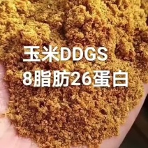 玉米酒糟DDGS专用于饲料厂，养殖场